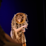 Kradljivci kokosovih oraha 12